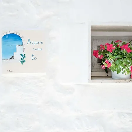 Azzurro Te -